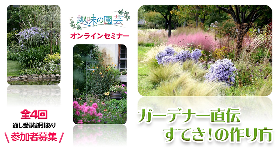 趣味の園芸オンラインセミナー 「ガーデナー直伝 すてき！の作り方」 2024｜教育コンテンツならNHKエデュケーショナル